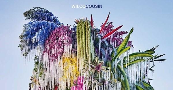 WILCO : Cousin (2023) - Culturesco