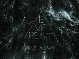 Girls In Hawaii : Everest (Détail de la pochette)